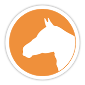 Paard