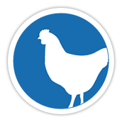 Pluimvee